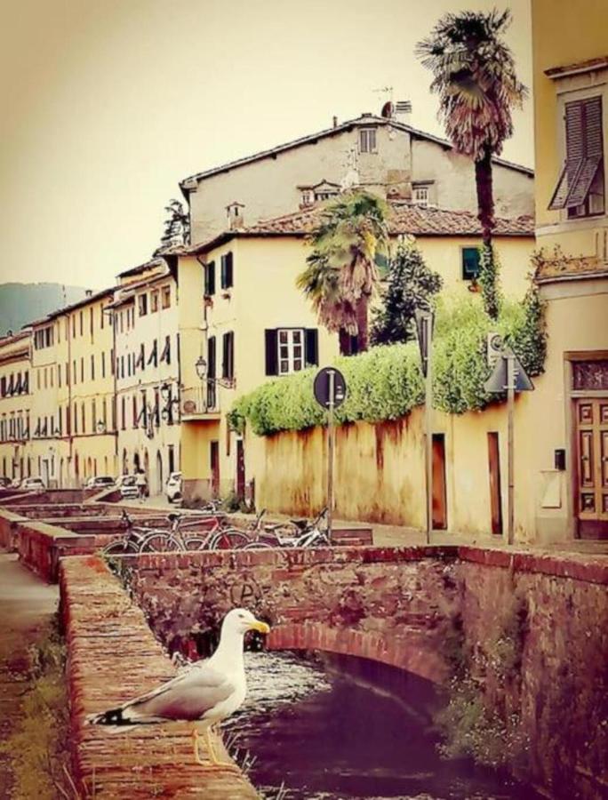 Lo Stellario Di Lucca Apartamento Exterior foto